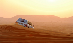 Dubai desert safari VIP tour