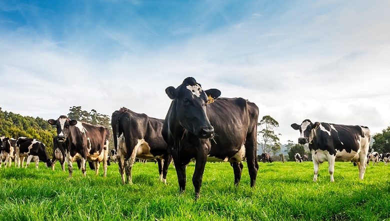 Digital Farming