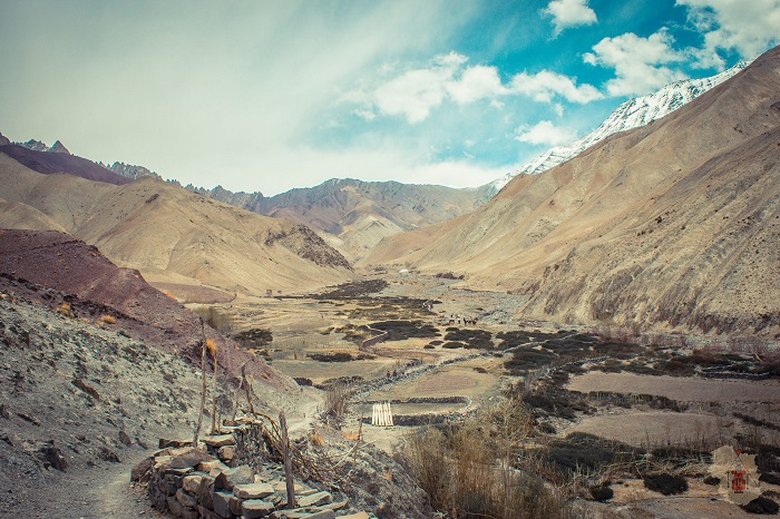 Snow Leopard Trek