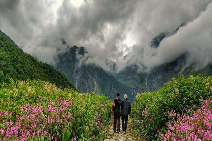 Valley of Flowers, Uttarakhand