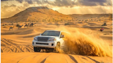 Photo of A Glimpse Of The Endless Charm Of The Desert Safari Adventure In Dubai