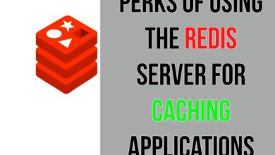 Redis server