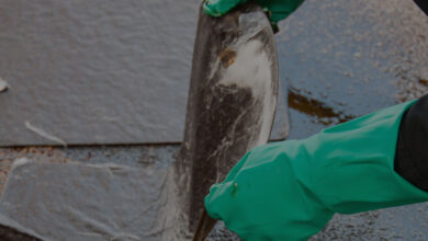 Asbestos Management