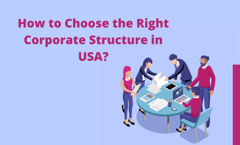 corporate structure in USA