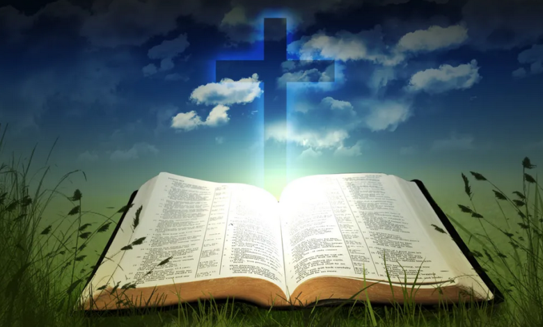 bible journal online