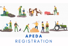APEDA Registration