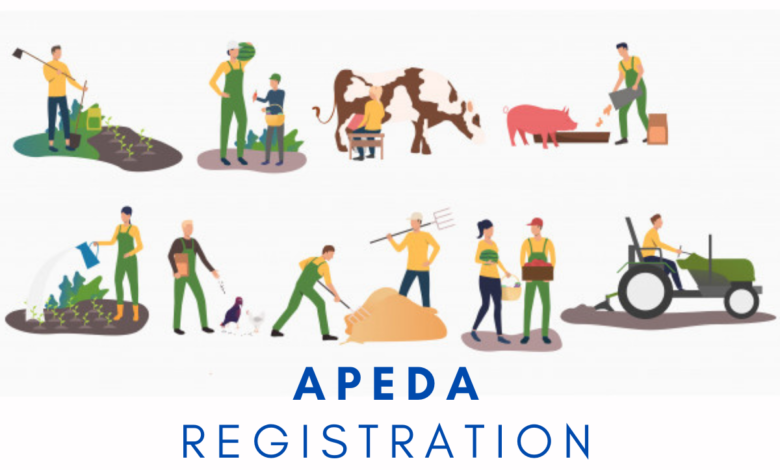 APEDA Registration