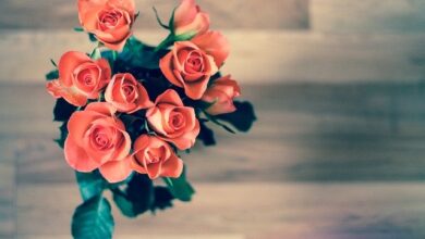 flowers