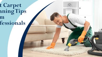Photo of Best Carpet Cleaning Tips from Professionals