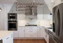 Fabuwood Kitchen Cabinets Color Concepts