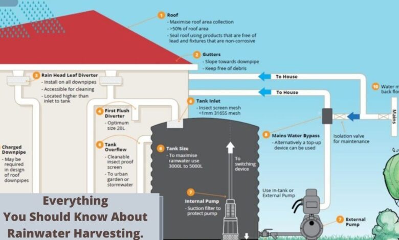 rainwater harvesting