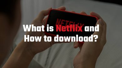 What is Netflix