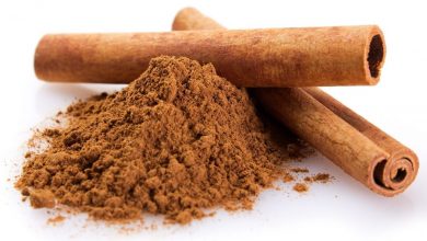 cassia lignea