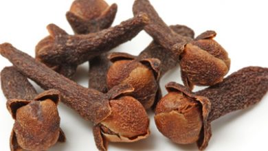 Photo of Clove Herb – Useful For Digestive Disorders