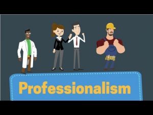 Why is professionalism important in the workplace?
