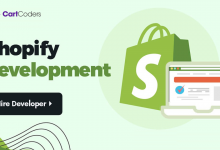 Shopify Development Service Provider