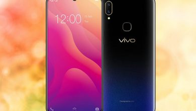 vivo