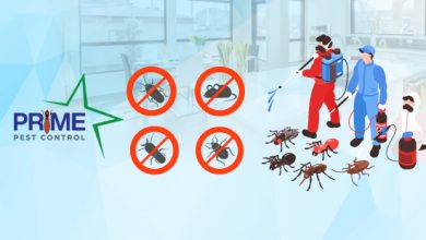 Best Pest Control service In Kolkata