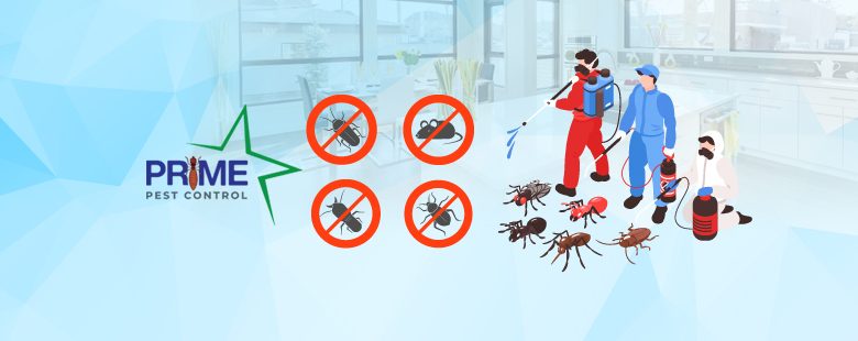 Best Pest Control service In Kolkata