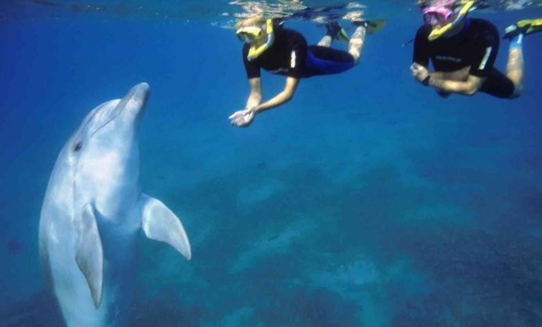 Top 8 Tips for an Exciting Snorkeling Experience