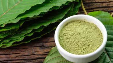 Photo of Why Do People Prefer to Consume Kratom Strains?