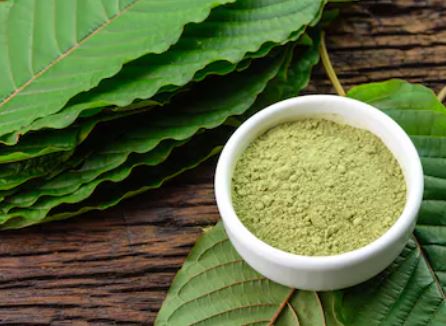 Why Do People Prefer to Consume Kratom Strains
