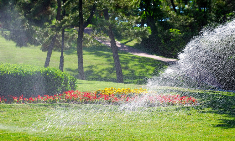 lawn care specialist