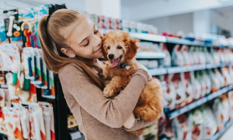 dog food delivery