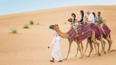 Photo of Trip to Desert Safari in Dubai – Is it Worth it?