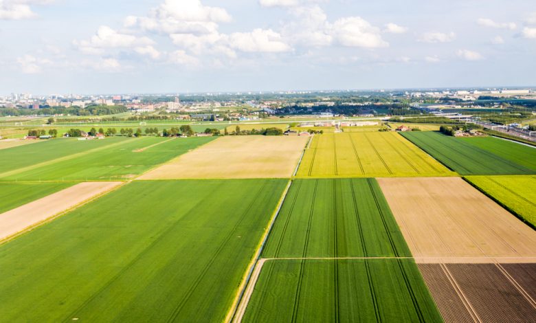 Land