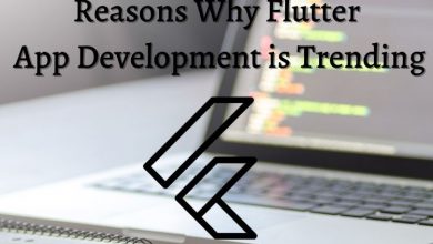 Reasons Why Flutter App Development is Trending