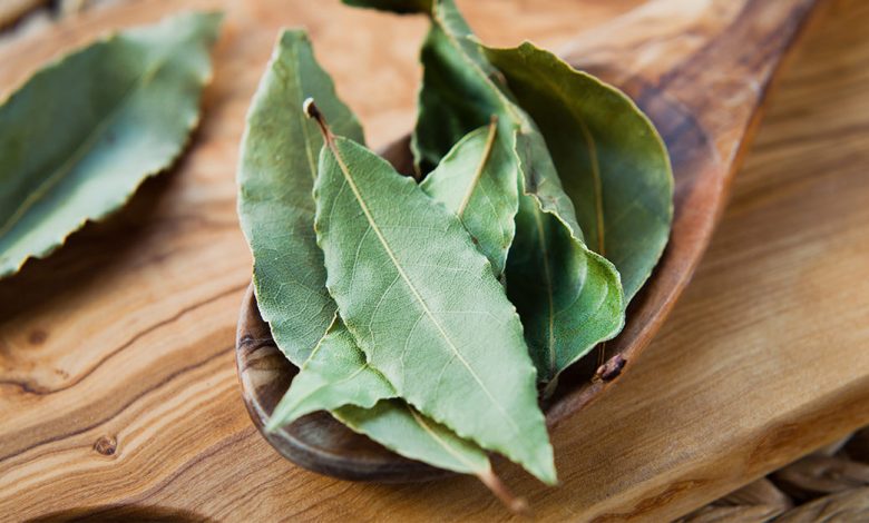 Bay Leaves