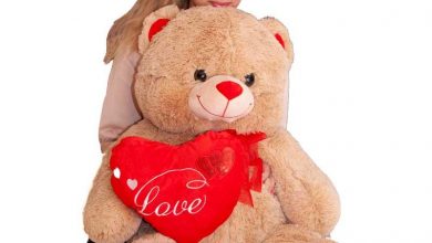 Giant teddy bear for girlfriend