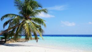 Best Time To Travel Maldives