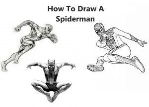draw a spiderman