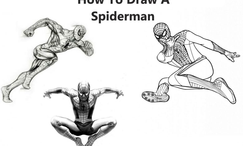 draw a spiderman