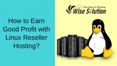How to Earn Good Profit with Linux Reseller Hosting?