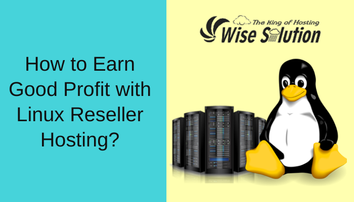 How to Earn Good Profit with Linux Reseller Hosting?