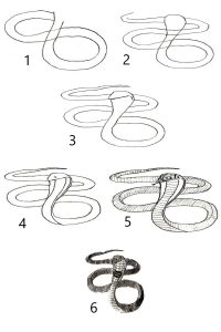 draw a snake