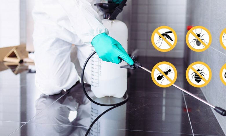 termite control service