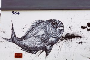 Animal Drawing ideas