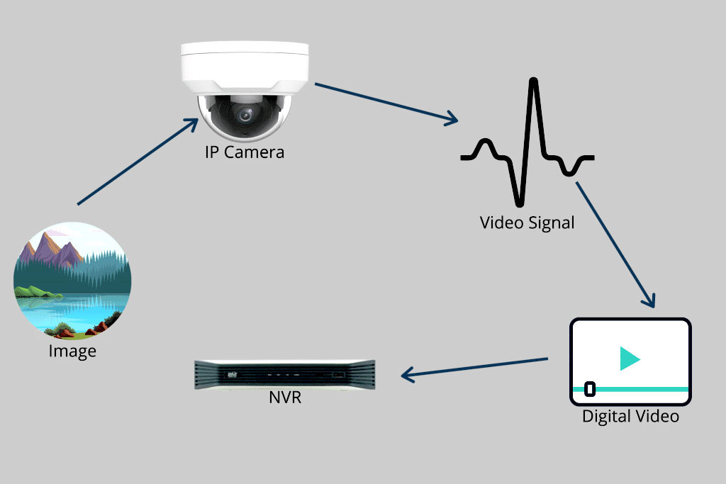 CCTV Security