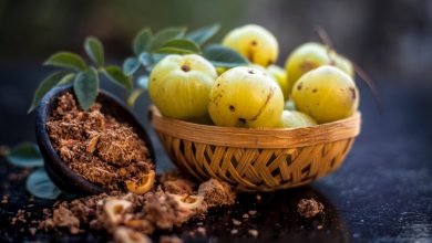 Herbs to Nourish and Restore the Nervous System