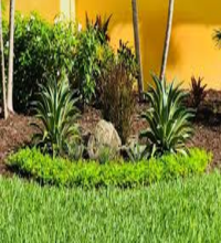Photo of Your Guide to Landscaping | Turftim