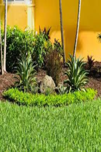 landscape design miami
