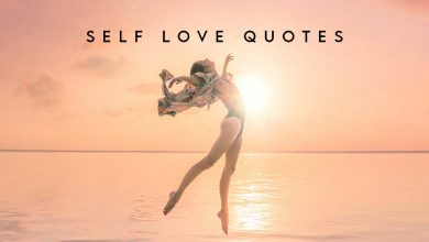 Photo of Top 40 Self Love Quotes | Importance of Self Love