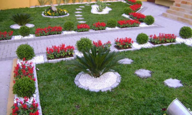 How to choose the right plants for your garden!
