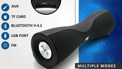 Zync Buzz Review Sound & Bass Quality