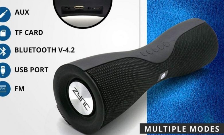 Zync Buzz Review Sound & Bass Quality