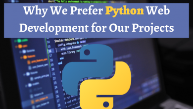 Why We Prefer Python Web Development for Our Projects